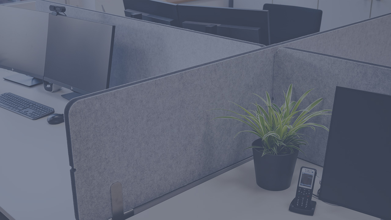 Thumbnail Desk with a light gray desk divider and a small green plant